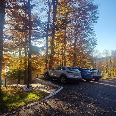 Green Forest Zabljak  Exterior photo