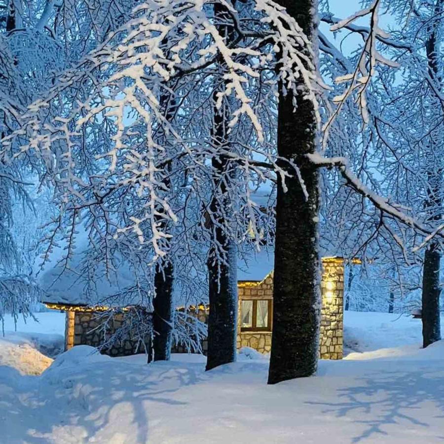 Green Forest Zabljak  Exterior photo