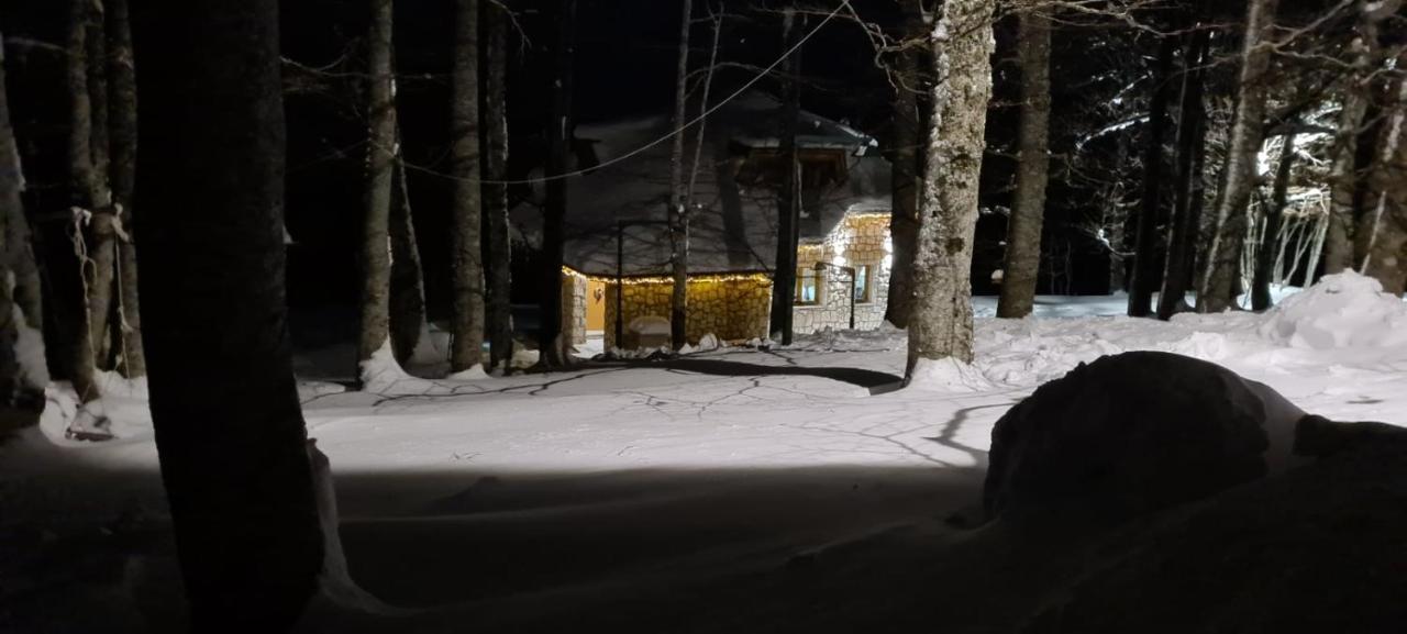 Green Forest Zabljak  Exterior photo