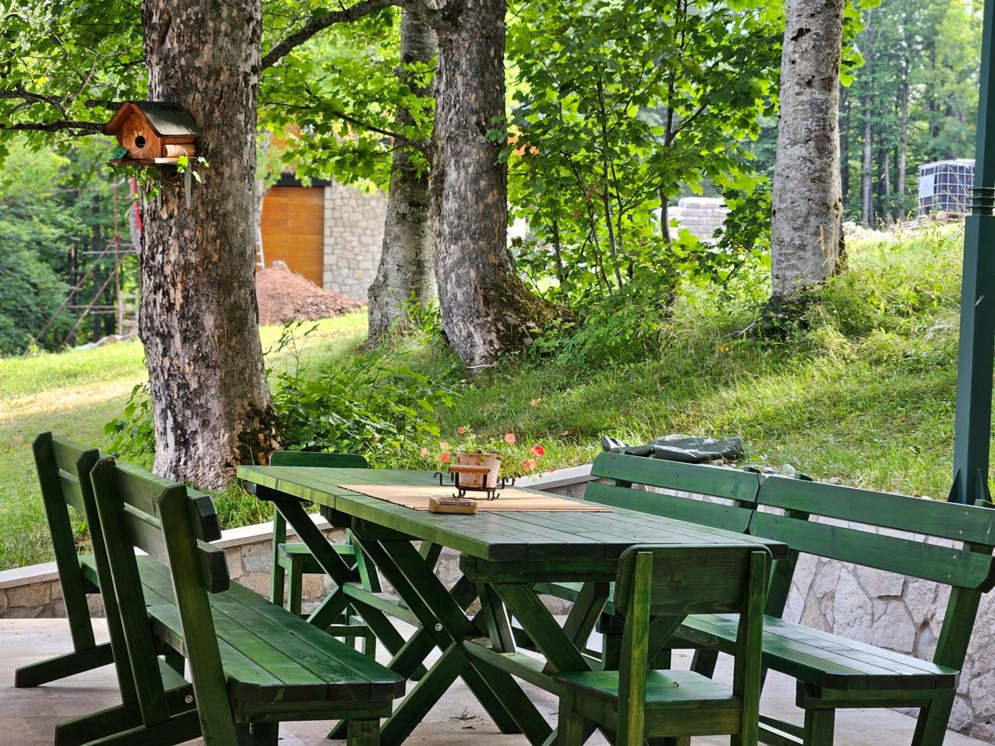 Green Forest Zabljak  Exterior photo