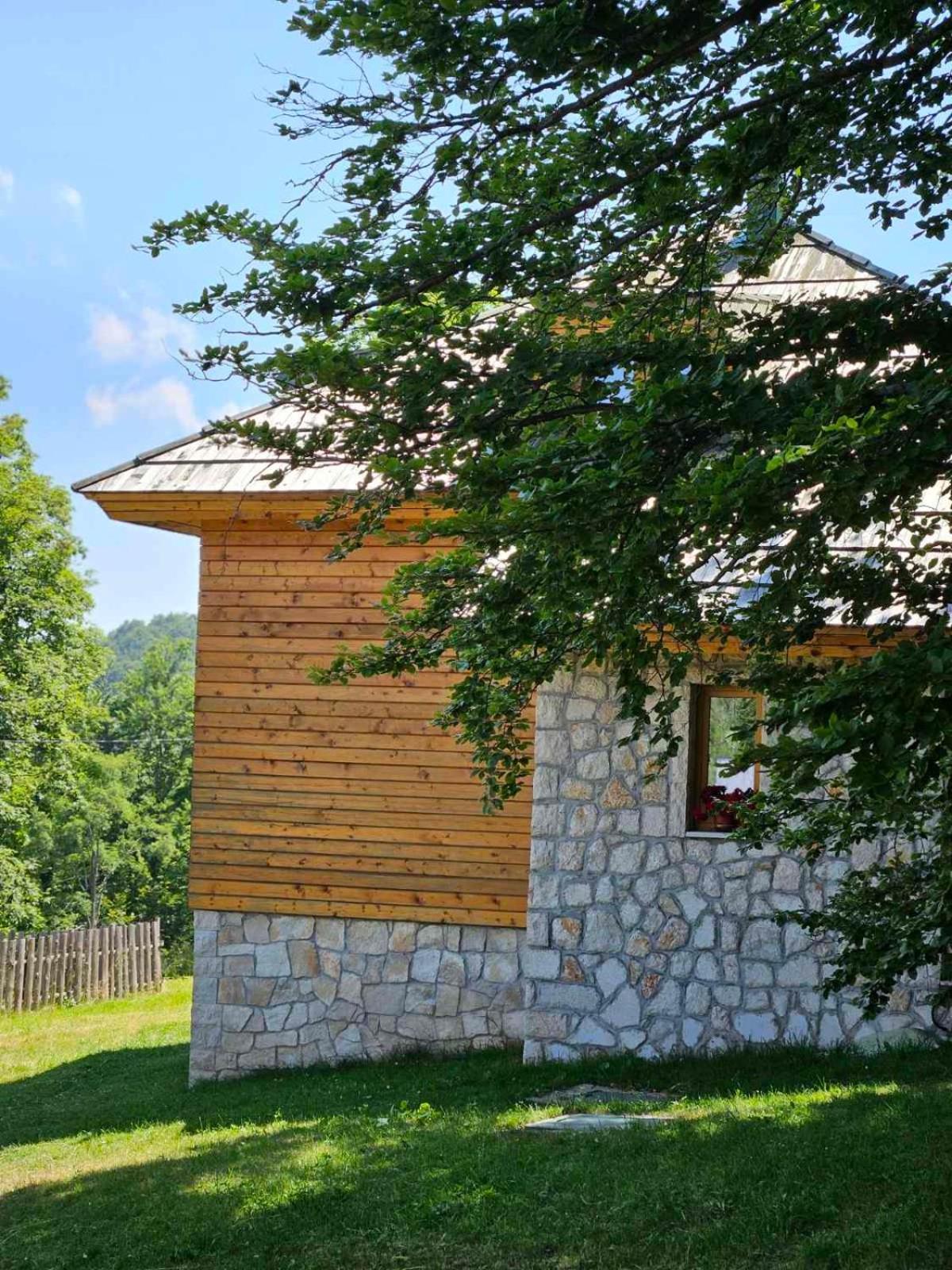 Green Forest Zabljak  Exterior photo