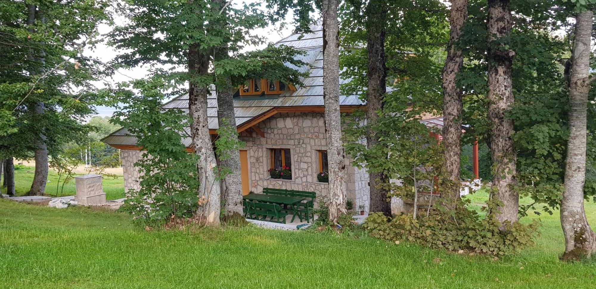 Green Forest Zabljak  Exterior photo