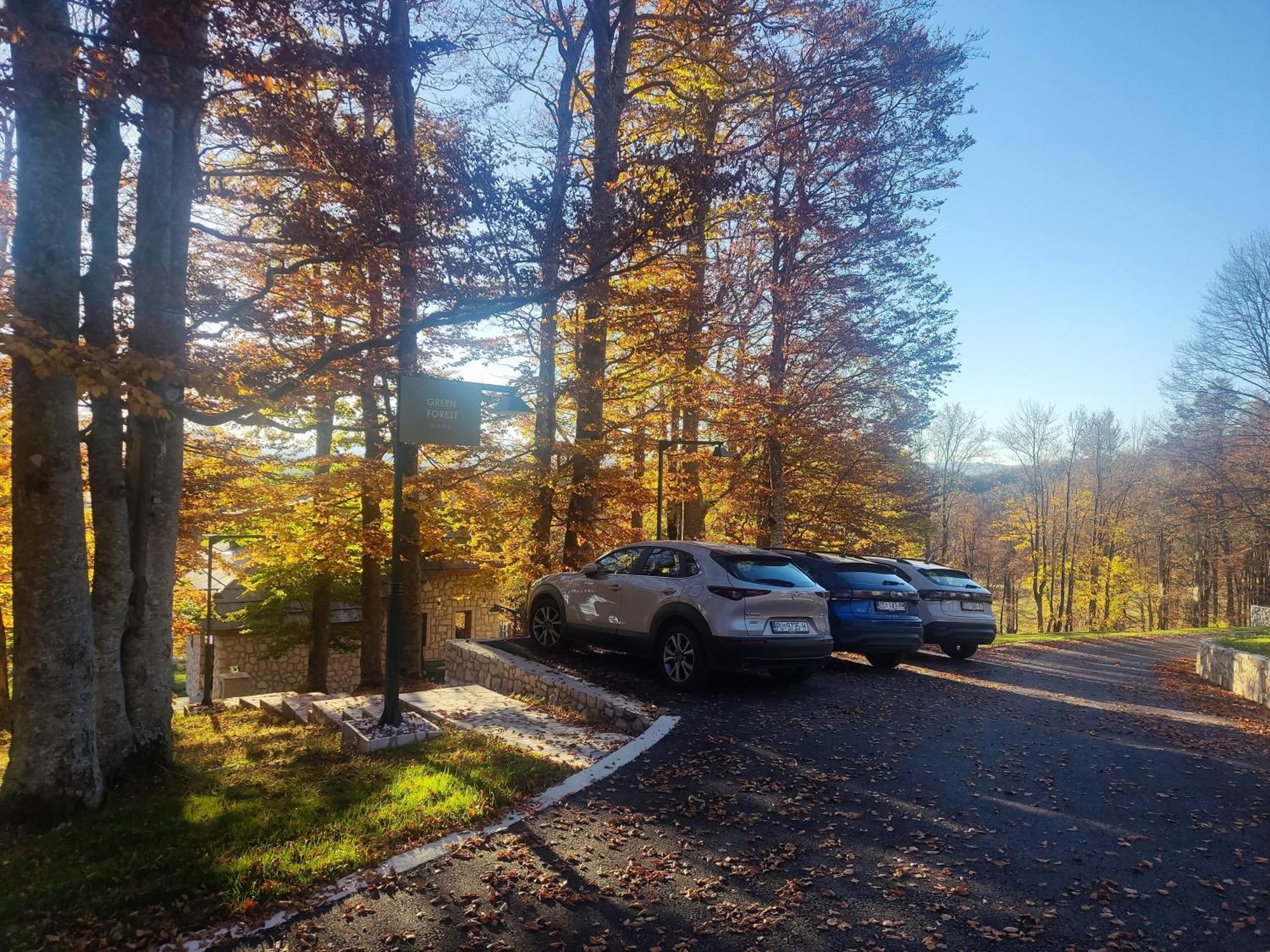 Green Forest Zabljak  Exterior photo