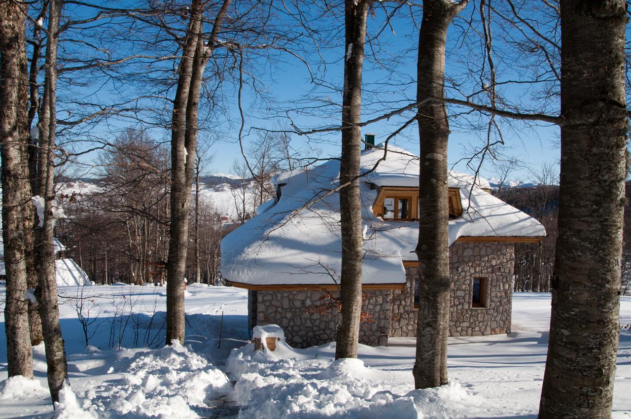 Green Forest Zabljak  Exterior photo