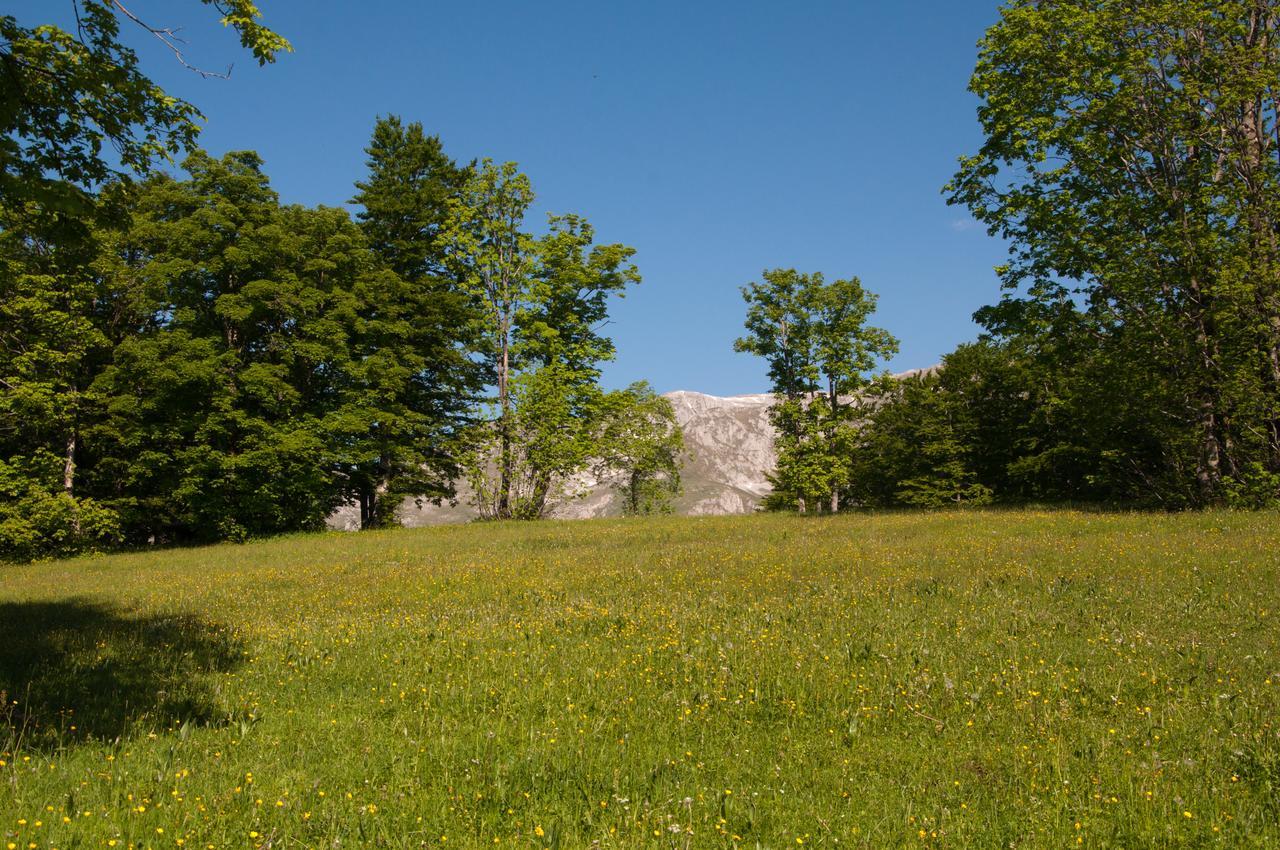 Green Forest Zabljak  Exterior photo